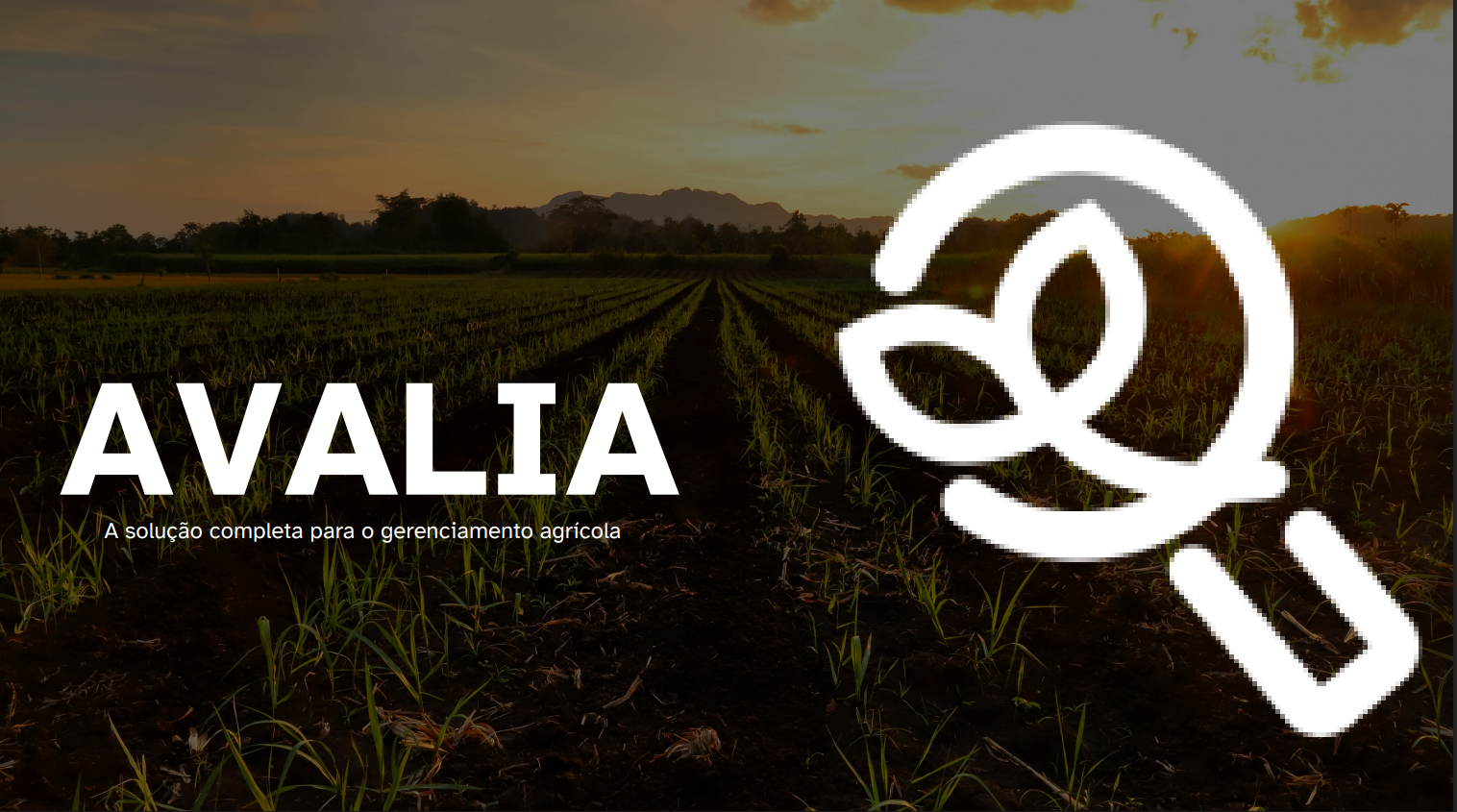 Avalia